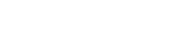 Festival Artist