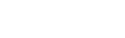 THE FESTIVAL