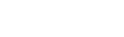 THE FESTIVAL