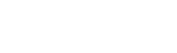 THE FESTIVAL