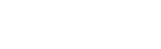 THE FESTIVAL