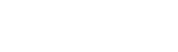 Festival Artist